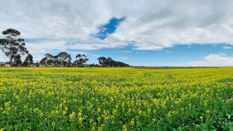 Property Conveyancer in Wyndham Vale